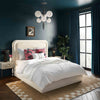 Briella Cream Velvet Bed in Full Model: TOV-B44216