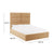Eliana Honey Velvet Queen Bed Model: TOV-B68727