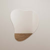 Phoebe LED Teardrop Wall Mirror Model: TOV-C68791