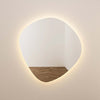 Phoebe LED Wall Mirror Model: TOV-C68793