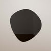 Phoebe LED Black Tinted Wall Mirror Model: TOV-C68794