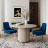 Beatrix Navy Velvet Side Chair Model: TOV-D48