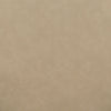 Odessa Cream Vegan Leather Dining Chair Model: TOV-D54436