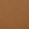 Odessa Saddle Brown Vegan Leather Dining Chair Model: TOV-D54437