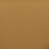 Sezanne Tan Vegan Leather Dining Chair Model: TOV-D69058