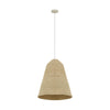 Aylin Natural Grass Pendant Lamp Model: TOV-G18484