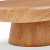 Darial Wood Grain Pattern Indoor/Outdoor Coffee Table Model: TOV-OC54469