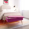 Ziva Plum Storage Bench Model: TOV-OC6464