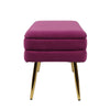 Ziva Plum Storage Bench Model: TOV-OC6464