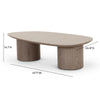 Rhema Washed Ash Nesting Coffee Table Set Model: TOV-OC69083-84