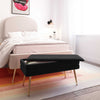 Ziva Black Velvet Storage Bench Model: TOV-OC69276