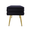 Ziva Black Velvet Storage Bench Model: TOV-OC69276