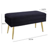 Ziva Black Velvet Storage Bench Model: TOV-OC69276