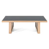 Nova Domus Cartier Modern Black & Rosegold Coffee Table