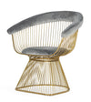 Modrest Chandler Modern Grey Velvet & Gold Dining Chair Model VGZAY007-GRY