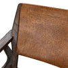 Dania Medium Brown and Antique Brown Leather Occasional ChairModel DOV0480-BRWN