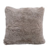 Kiwi Light Grey Pillow Model DOV11055