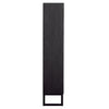 Moblin Matte Black Finish Cabinet Model DOV15092