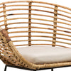 Pablo Natural Rattan Finish and Black Metal Frame Dining ChairModel DOV1551