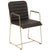 Turner Black Leather and Brass Metal Finish Dining ChairModel DOV32002