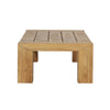 Gary Natural Rustic Outdoor Coffee Table Model DOV35005-NATL