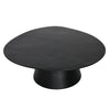 Zsolt Matte Black Coffee TableModel DOV8383