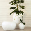 Joshua Natural White Sealed with Acrylic Outdoor PebblestoneModel DOV9486