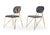 Modrest Carol Modern Grey Fabric Dining Chair (Set of 2)