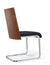Morgan Modern Black & Walnut Dining Chair (Set Of 2) Model VGEWF3175BA-BLK