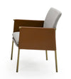 Modrest Pettit Modern Light Grey |Camel And Brass Arm Dining Chair Model VGGA-6988CH-1-WHT-B-DC