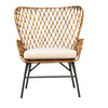 Daraga Black Metal Legs and Natural Rattan Occasional ChairModel PLA3103