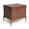 Modrest Shane - Modern Acacia & Brass Nightstand
