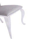 Modrest Bonnie Modern Grey Velvet & Stainless Steel Dining Chair (Set Of 2) Model VGZAY906-1-GRYBT